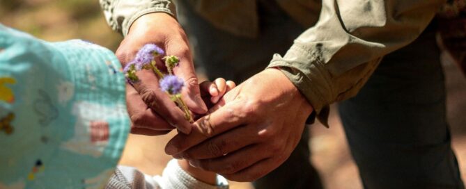 Serve Craft Containers uses compostable food packaging to give back to communities.