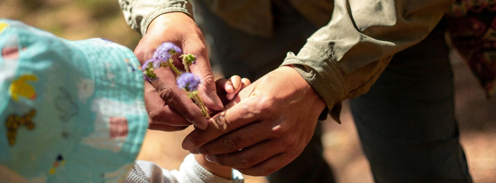 Serve Craft Containers uses compostable food packaging to give back to communities.